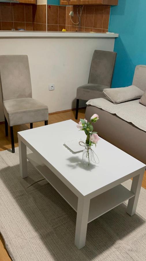 Apartment Elefant 021 Novi Sad Exterior foto